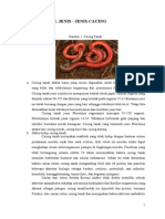 Download JENIS JENIS CACING by NurfadilaYahya SN276944070 doc pdf
