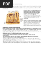 Download Endodontik Perawatan Saluran Akar by Rinaldi Inal SN276953795 doc pdf