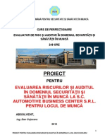 Proiect Pentru Evaluarea Riscurilor-Arssm