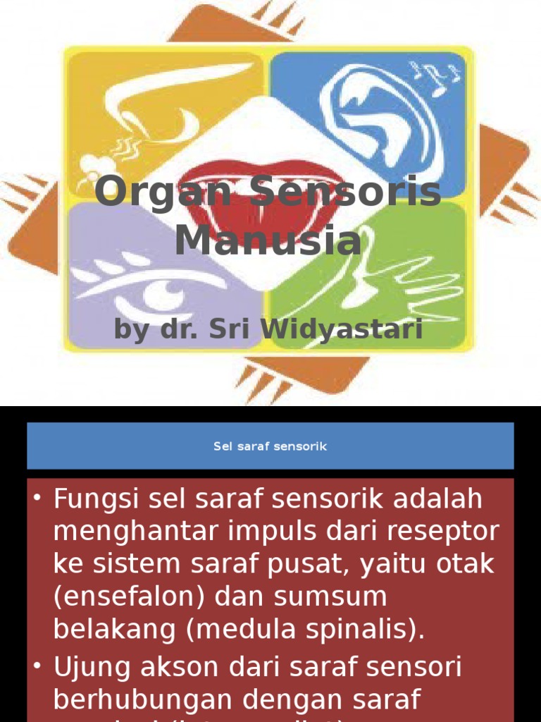 Fungsi dan Macam Organ Sensorik | PDF | Sains & Matematika