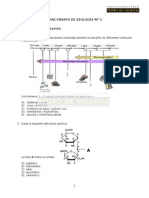 Mini Ensayo N2 Biologia