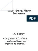 Notes: Energy Flow in Ecosystems