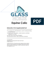 Glass Horse Equine Colic