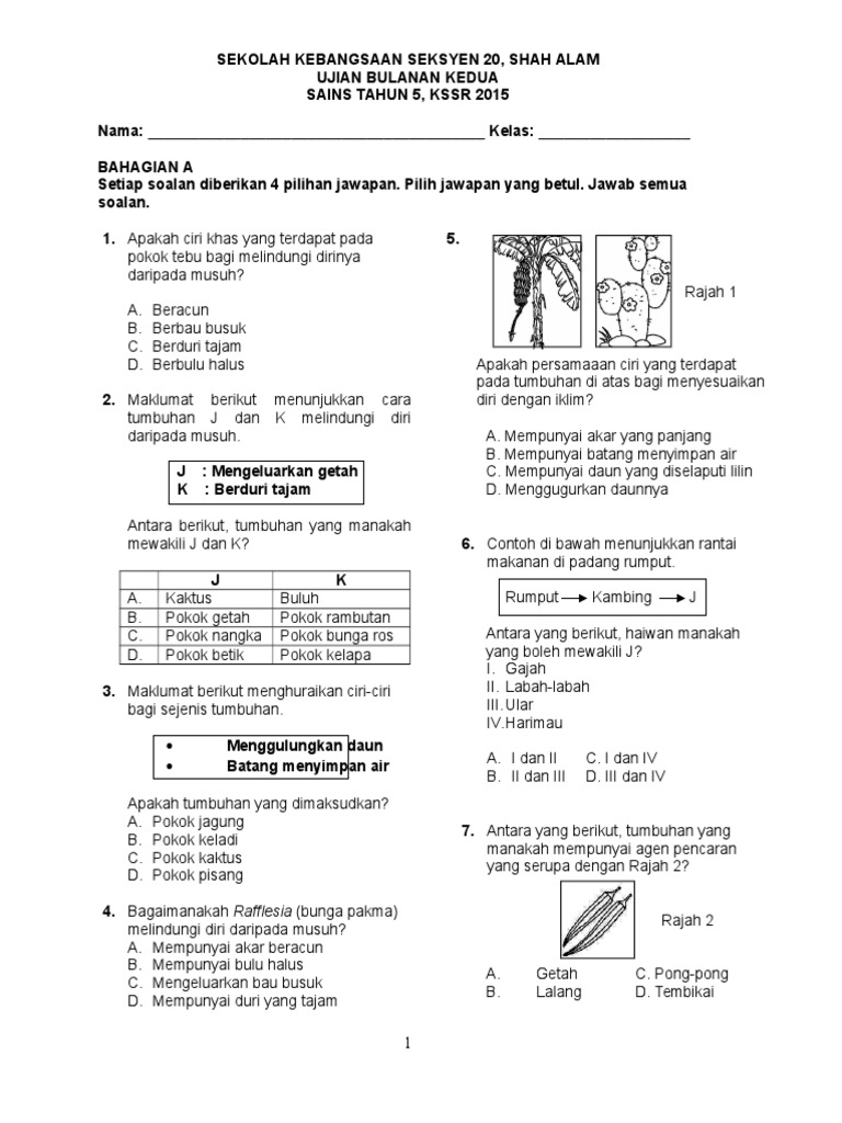 Latihan Soalan Sains Tahun 5 Dan Jawapan