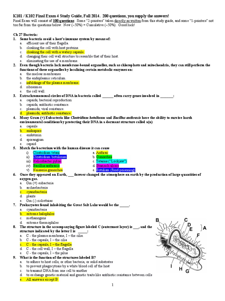 BIO K101 Final Exam Answers Plant Hormone Cellular Respiration