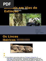Animais em Vias de Extinção