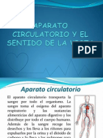 Aparato Circulatorio y Sentido de La Vista