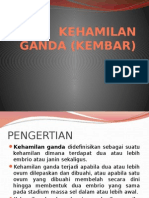 Kehamilan Kembar