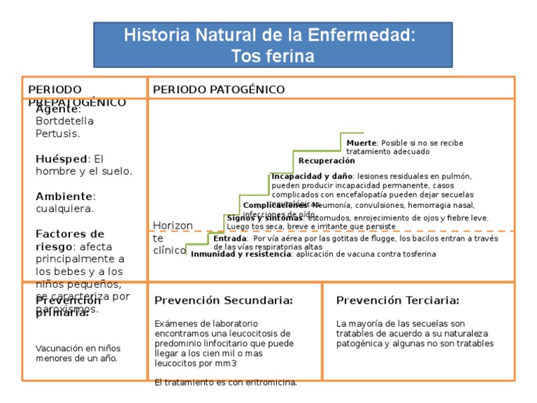 Historia Natural de La Tos Ferina