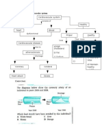 1.6 Healthy Cardiovascular System