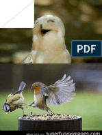 Funny Birds