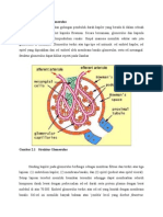 Anatomi, Fisiologi, Histologi Glomerulus