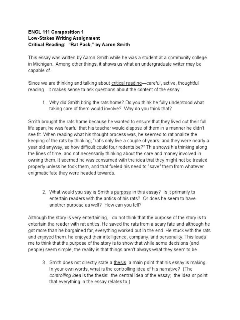 introduction essay about reading