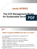 Capacity WORKS: The GTZ Management Model For Sustainable Development