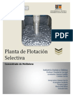 Planta de Flotación Selectiva Molibdeno