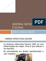 Anemia Infecciosa Equina