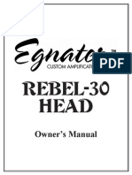 Rebel 30 Head: Owner's Manual