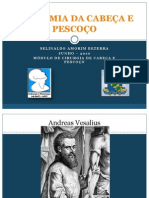 Anatomia Da Cabeca e Pescoco