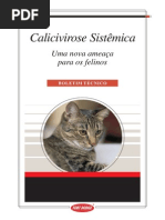 Calicivirose Sistemica felina 