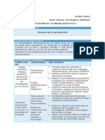 CTA - Planificación Unidad 4 - 4to Grado v2