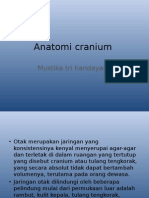 Anatomi Cranium Mus