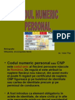 Vn - Codul Numeric Personal