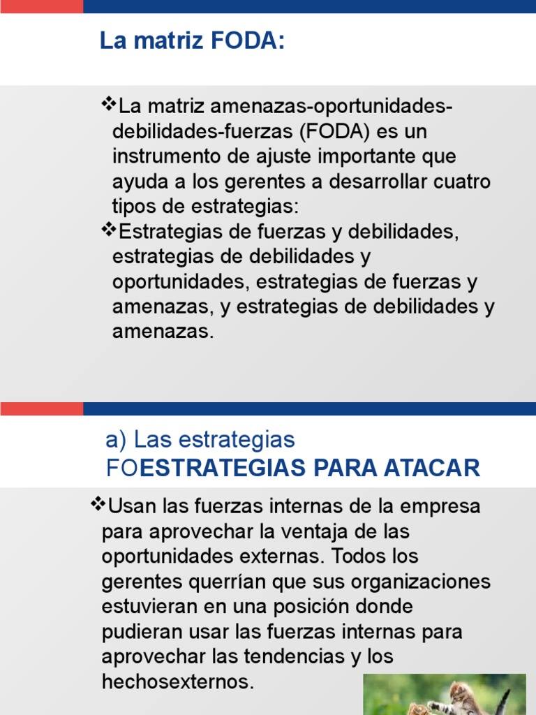 Estrategias FODA para Empresas | PDF | Análisis FODA | Business