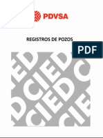 Registros de Pozos CIED-PDVSA_003