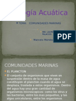 Comunidades Marinas Marcelo Mendoza I.A.S LL Grupo F