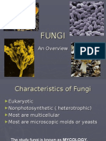 Fungi