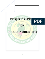 Project Report on Cold Chamber 10mt