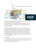 Tutorial Ske A Blok 19 2015