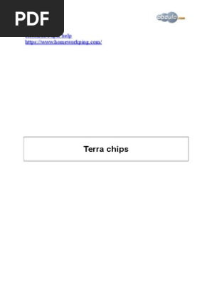 54241829-Terra-Chips-Case-Study.doc