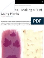 Anthotypes - Making A Print Using Plants Lomography