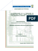 Eco-Intensificacion de La Produccion de Naranja PDF