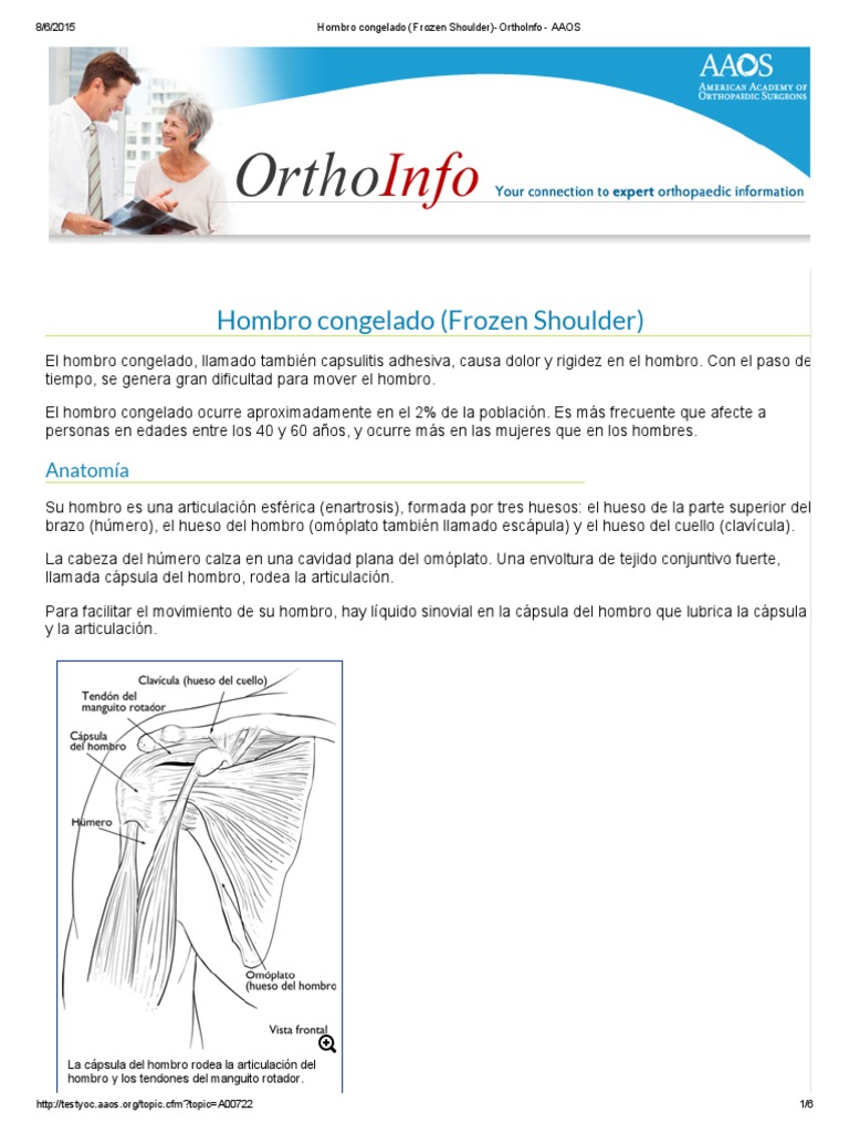 Shoulder Aaos Pdf : Rotator Cuff and Shoulder Conditioning Program – PNIK