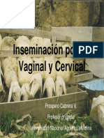 P Cabrera - Inseminación Artificial Vaginal y Cervical PDF
