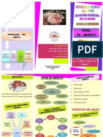 06 Enf 455 Triptico de Aborto