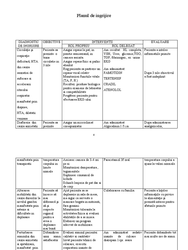 Plan De Ingrijire Hta