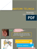 Anatomi Telinga