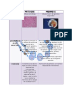 Division Celular Tabla Comparativa