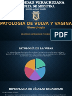 Patología de Vagina y Vulva