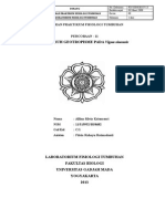 Proposal Geotropisme Fian 8682