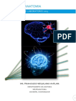 Manual Neuroanatomia 1.1