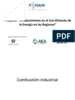 3. Eficiencia Energetica Termica Combustion