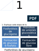 Metabolismo de Carbohidratos