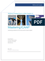 27 Wp Risk Mastering Icaap