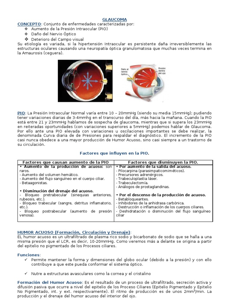 Glaucoma: Aumento de PIO y Fisiopatología | PDF | Glaucoma | Ojo humano
