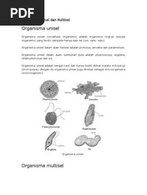 Organisma Unisel Dan Multisel  PDF
