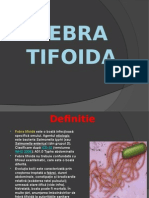 Febra Tifoida